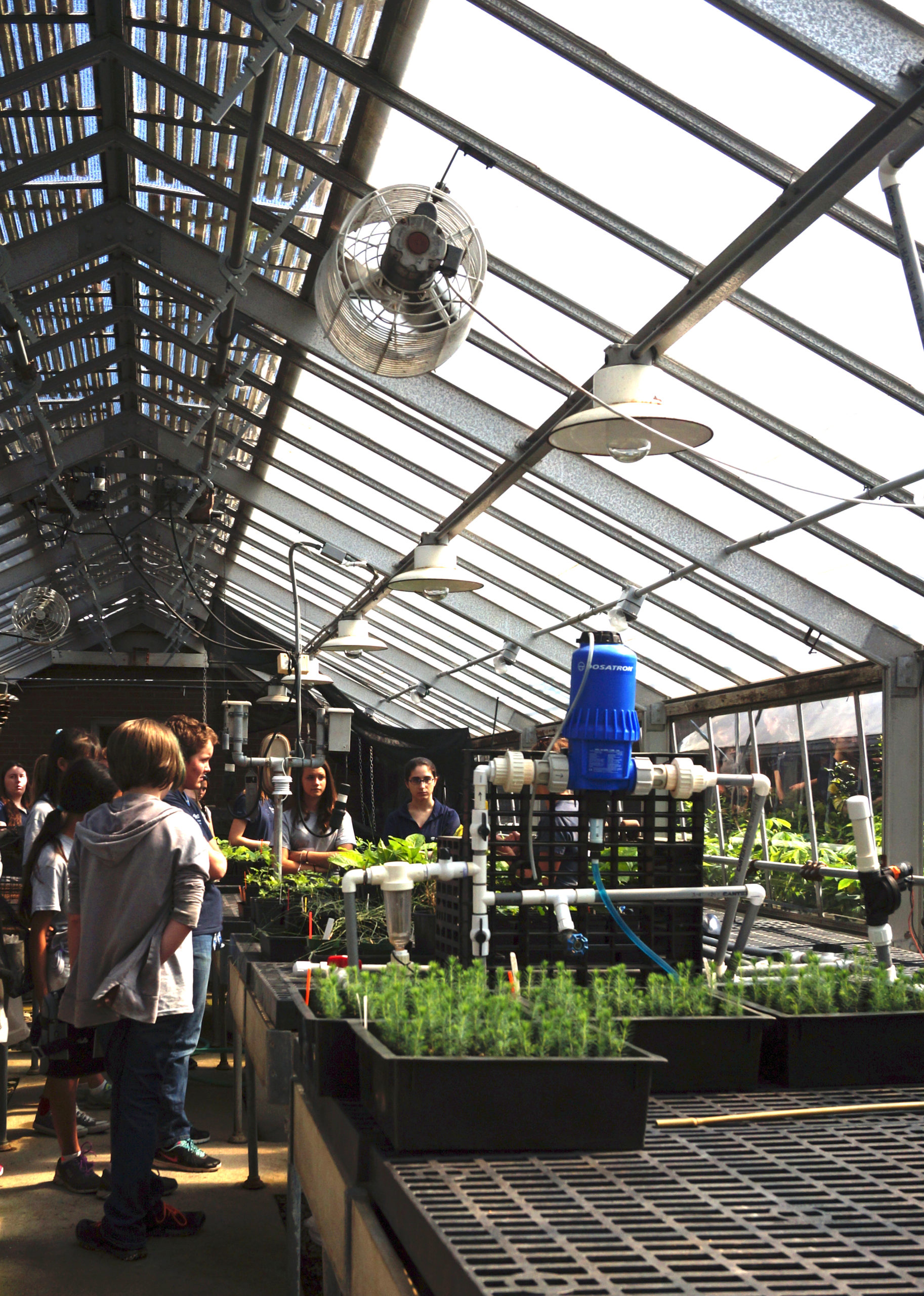 The group takes a tour of one of the Dana Greenhouses