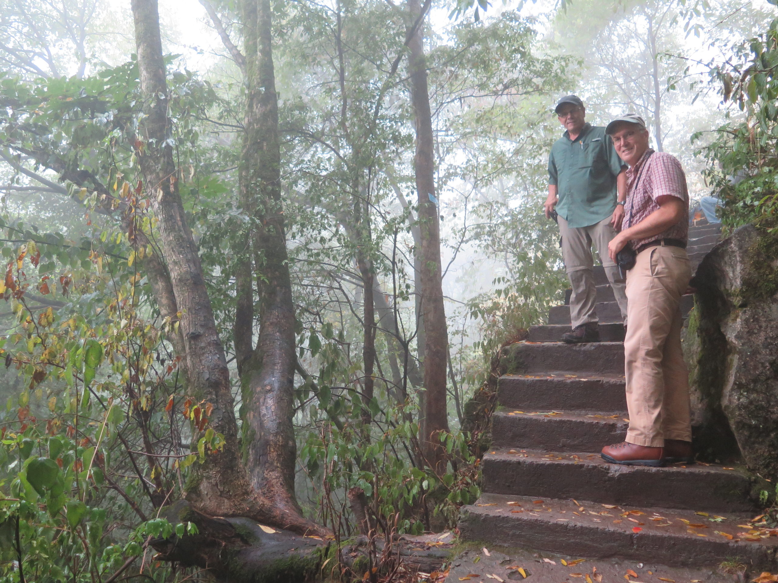 Tony Aiello (front) and Kris Bachtell standing beside the first Acer griseum found on the 2015 NACPEC expedition.