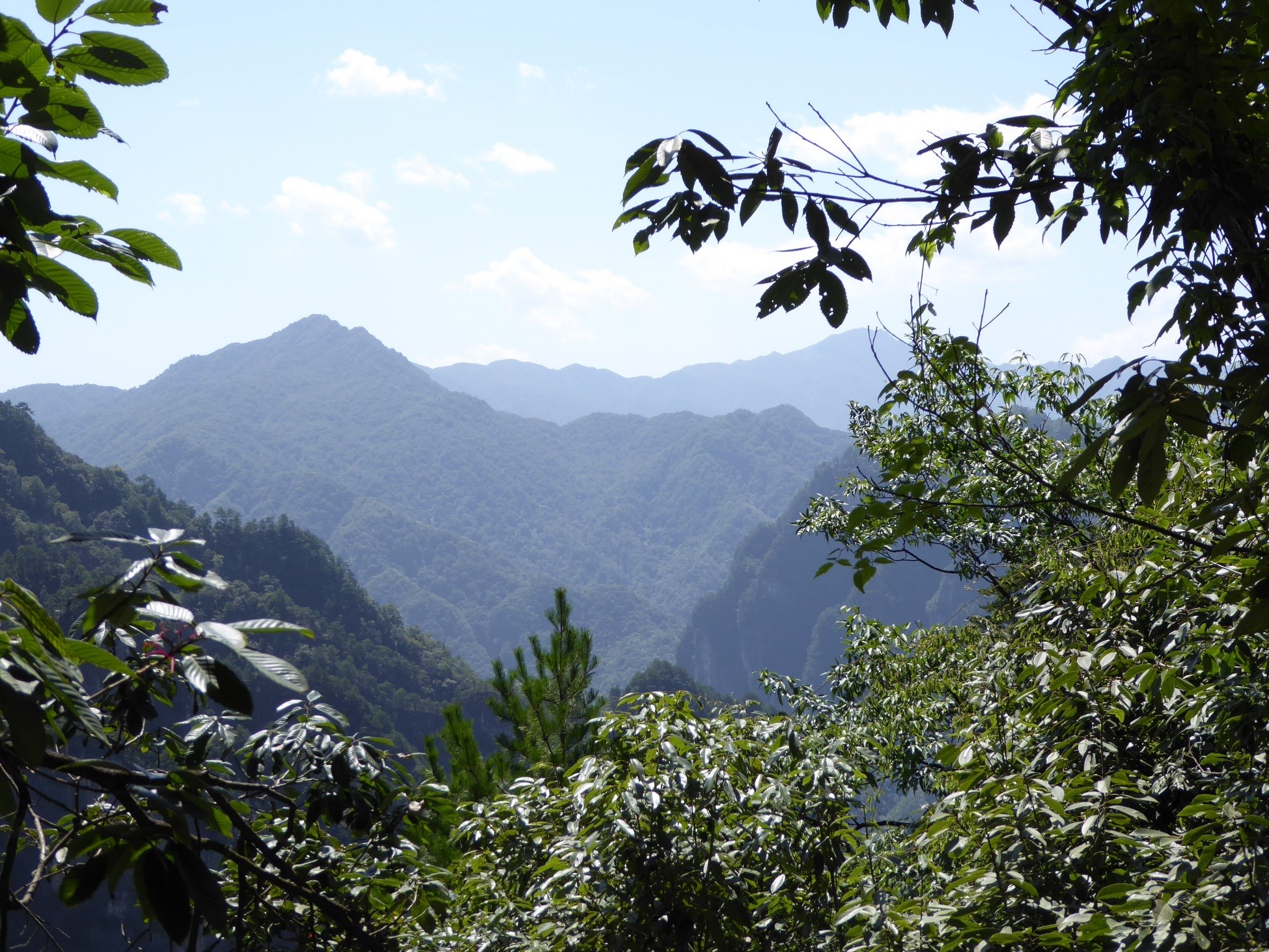 View from Seven Fairy Peak, Guangwushan Park, Sichuan.