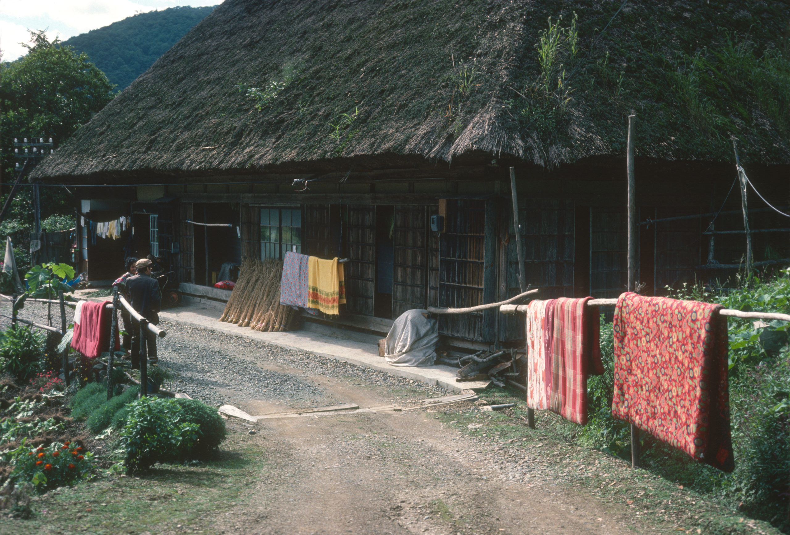 A traditional Japanese farmhouse in Iwate Prefecture photographed by Stephen Spongberg, September 16, 1977.