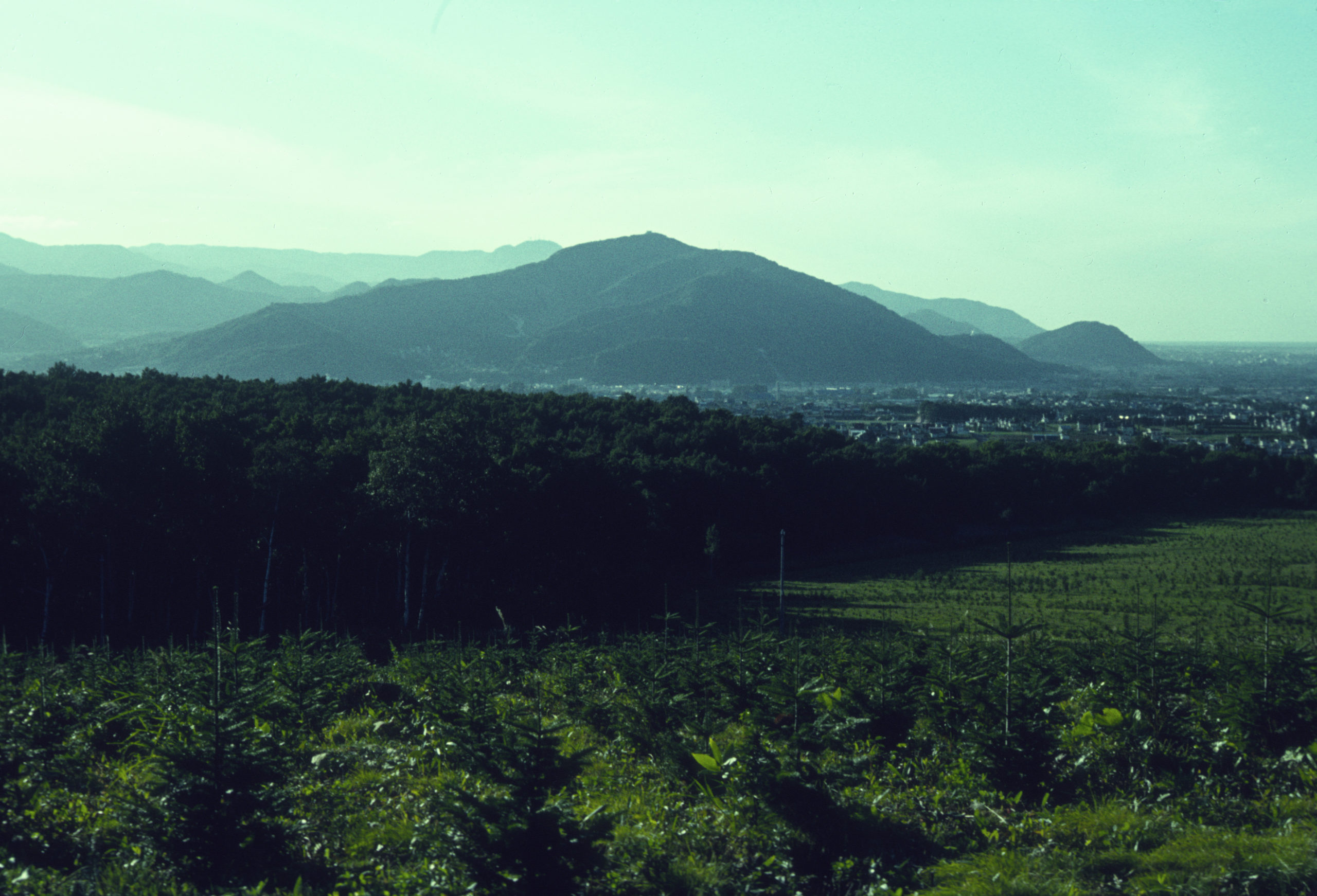 View of Sapporo from Government Forestry Experiment Station. Hokkaido, Japan.