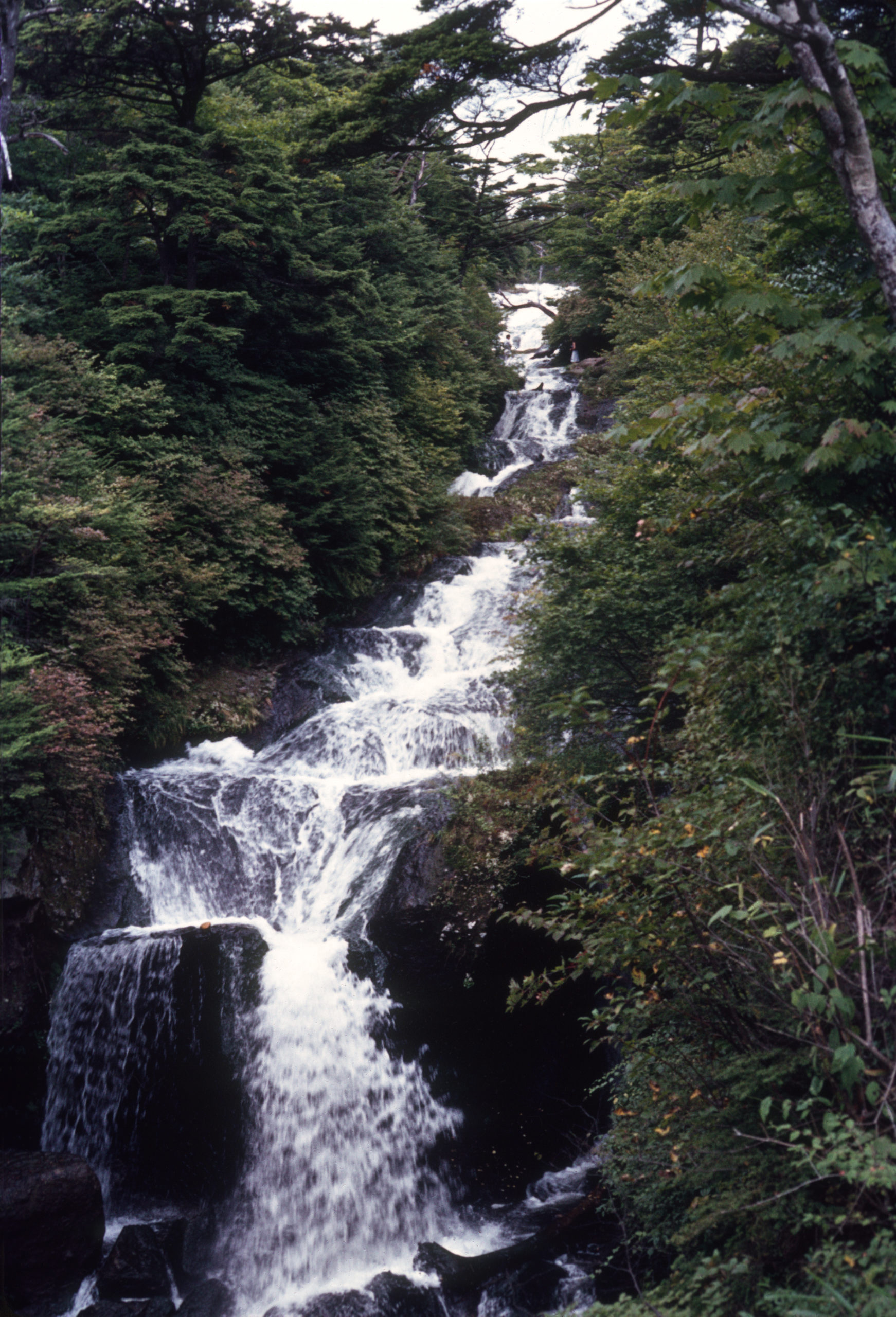 A view of the Ryusu Falls at Nikko National Park. Photograph by Stephen Spongberg, September 4, 1977.