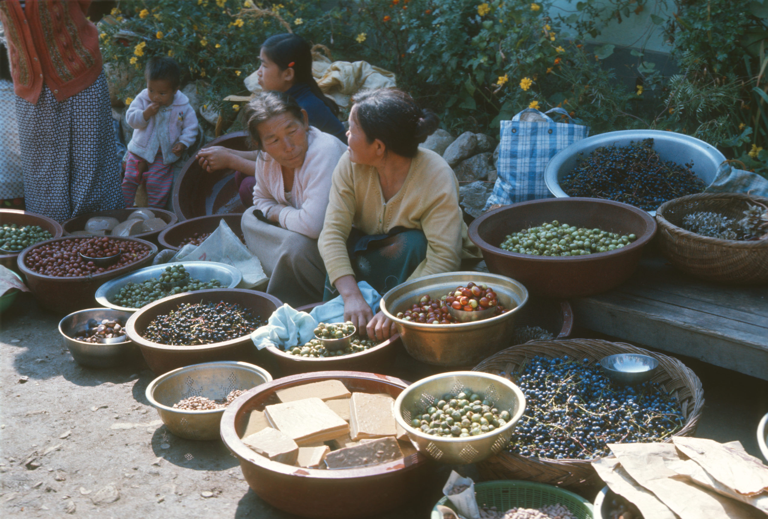 Women with baskets of food for sale at the Yongmun-san Market, Kyonggi-do Province, South Korea. Photograph by Stephen Spongberg, October 9, 1977.