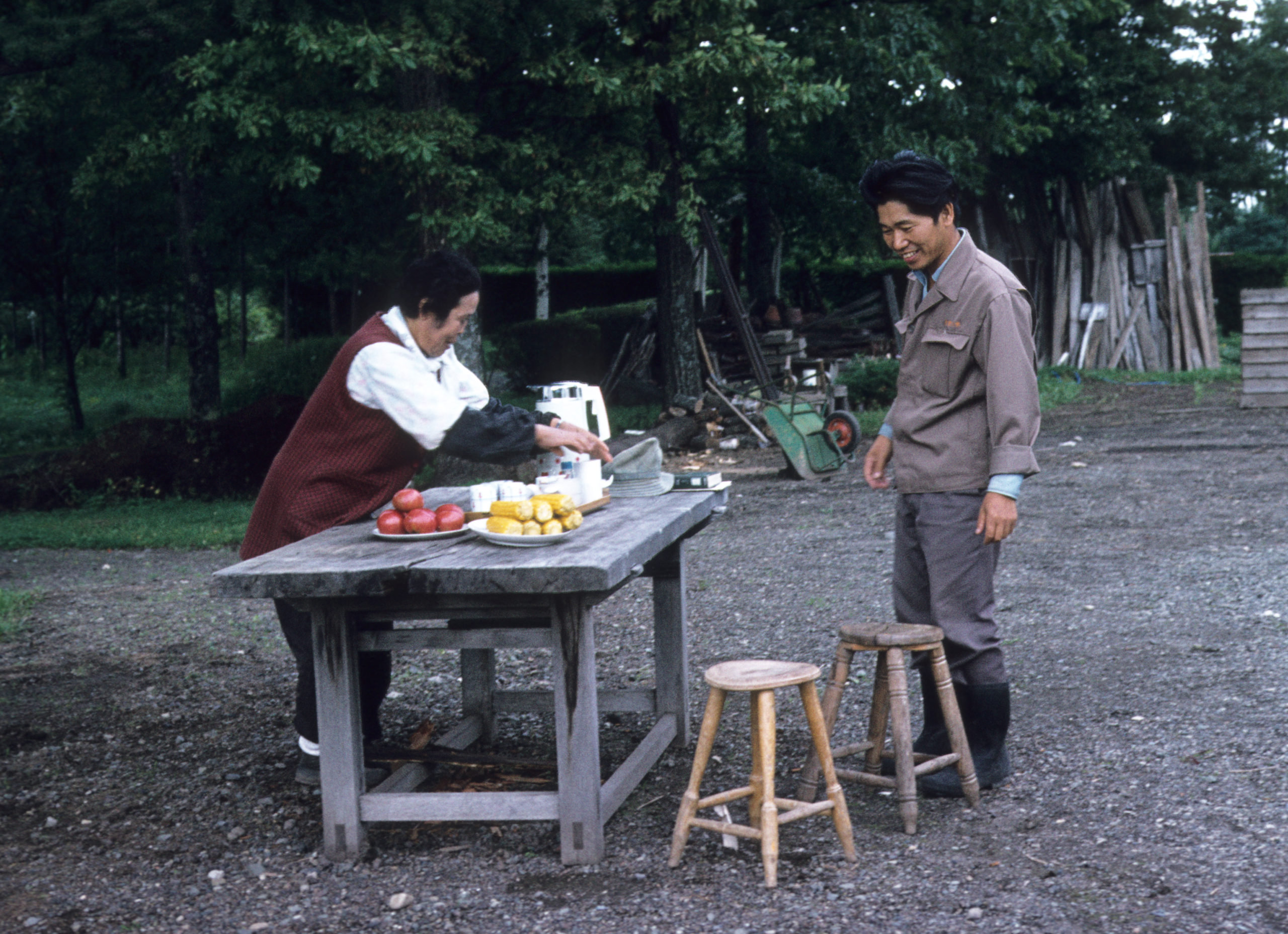 A woman offers Mr. A. Kurahashi tea, corn, and tomatoes at the Tokyo University Forest in Yamale, Furano, Hokkaido. Photograph by Stephen Spongberg, September 9, 1977.