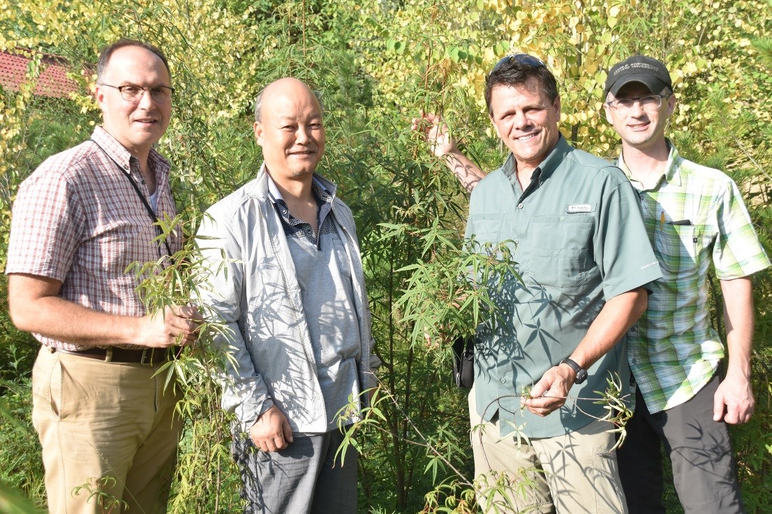 NACPEC 2015 team with Acer pentaphyllum and Mr. Pei, Xiao Long Shan Institute of Forestry, Tianshui, Gansu.