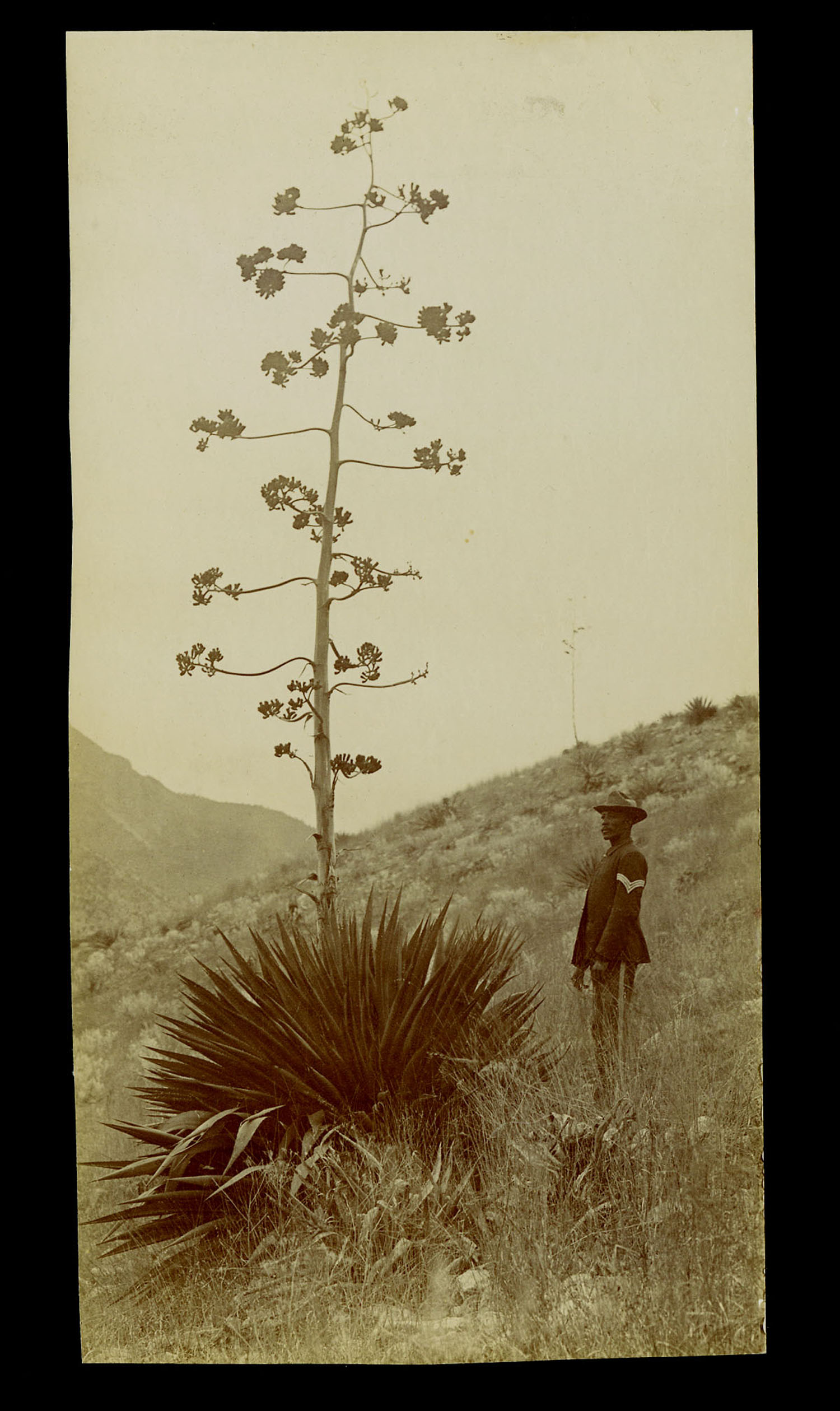Fort Huachuca, Arizona, 1895.