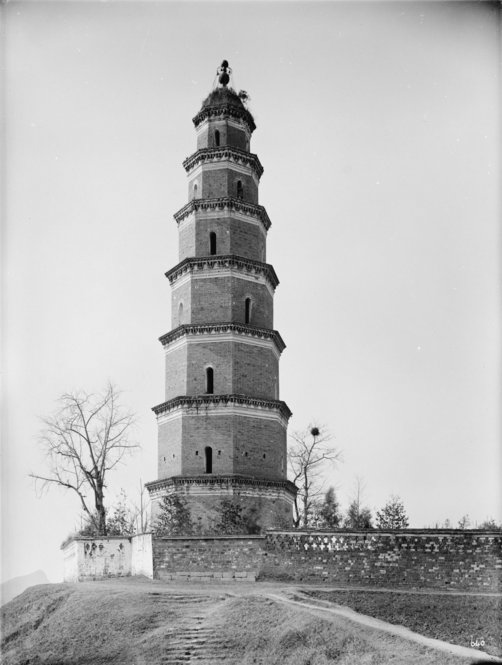 200 ft. tall pagoda, with Ginkgo biloba, Ichang, 1909. All photographs by Ernest Henry Wilson. © President and Fellows of Harvard College. Arnold Arboretum Archives.