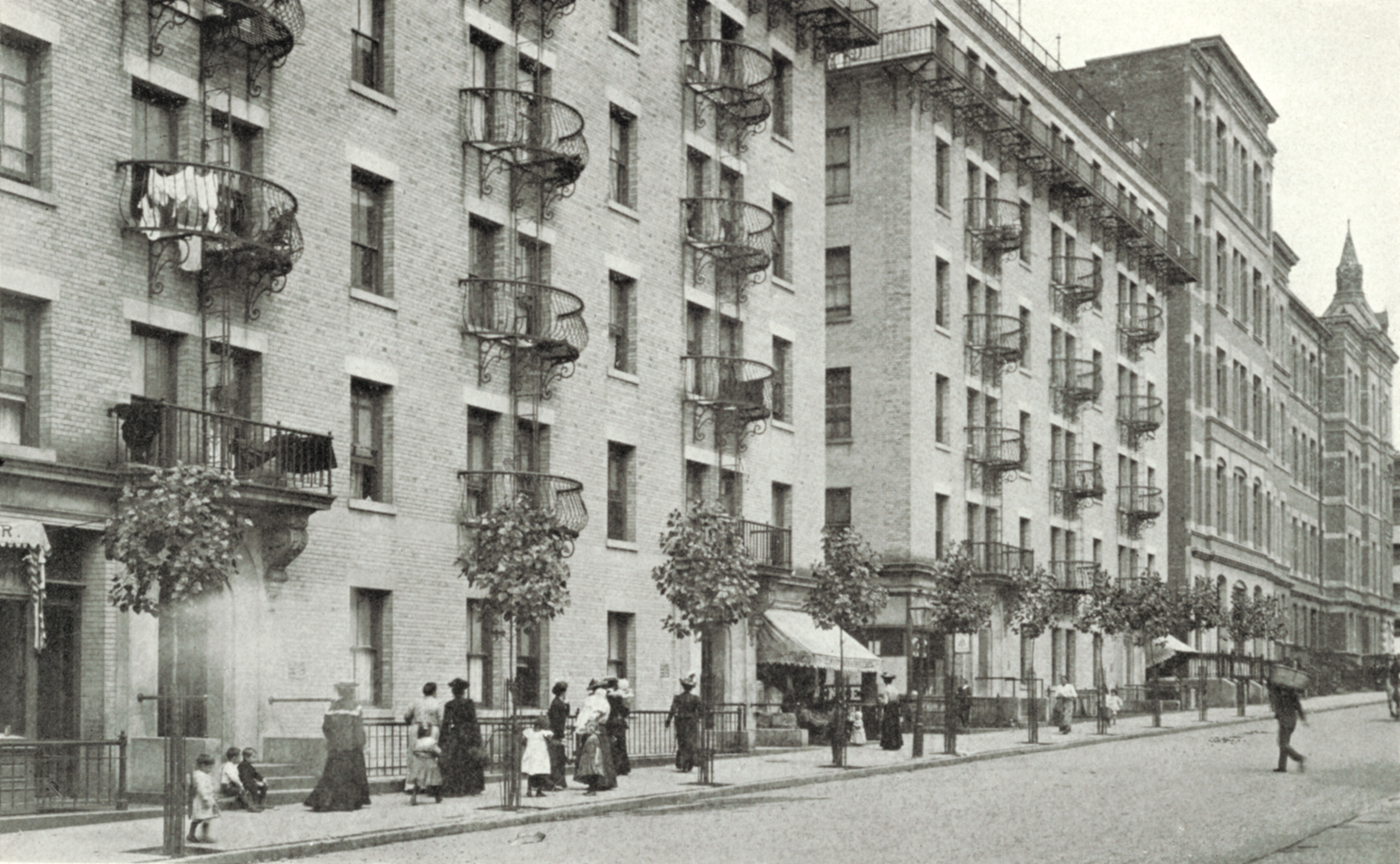 Black-and-white photograph of young trees lining a New York City street