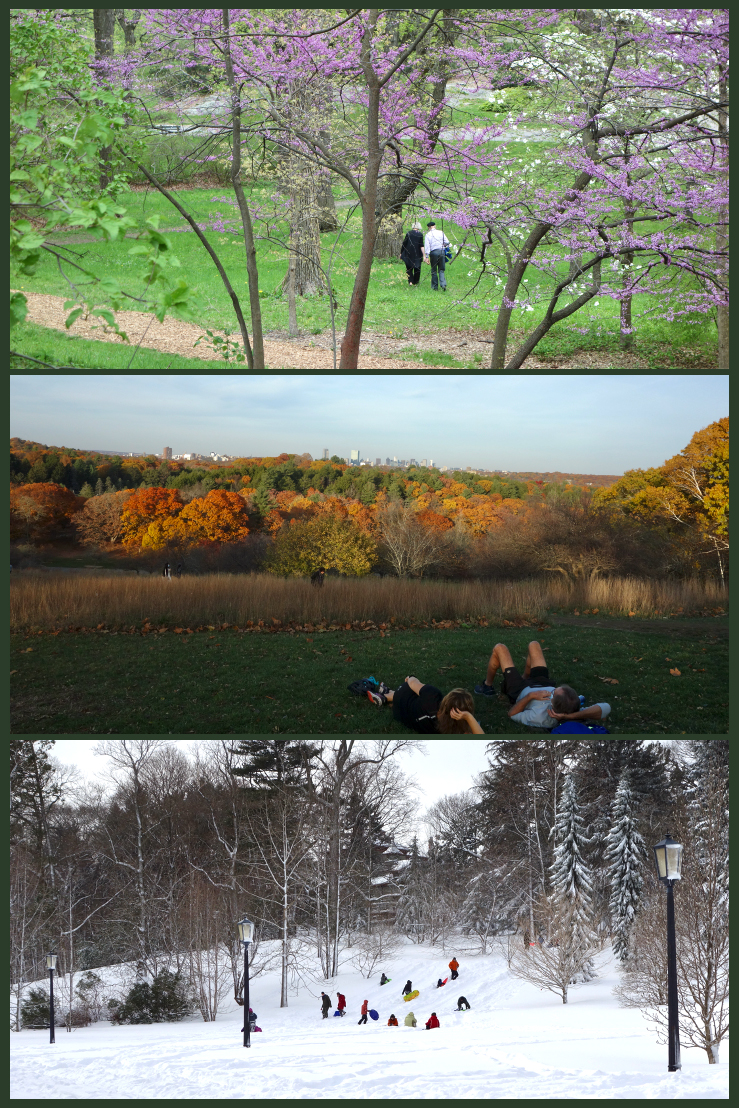 Spring, autumn, and winter photos of the Arboretum by Ned Friedman