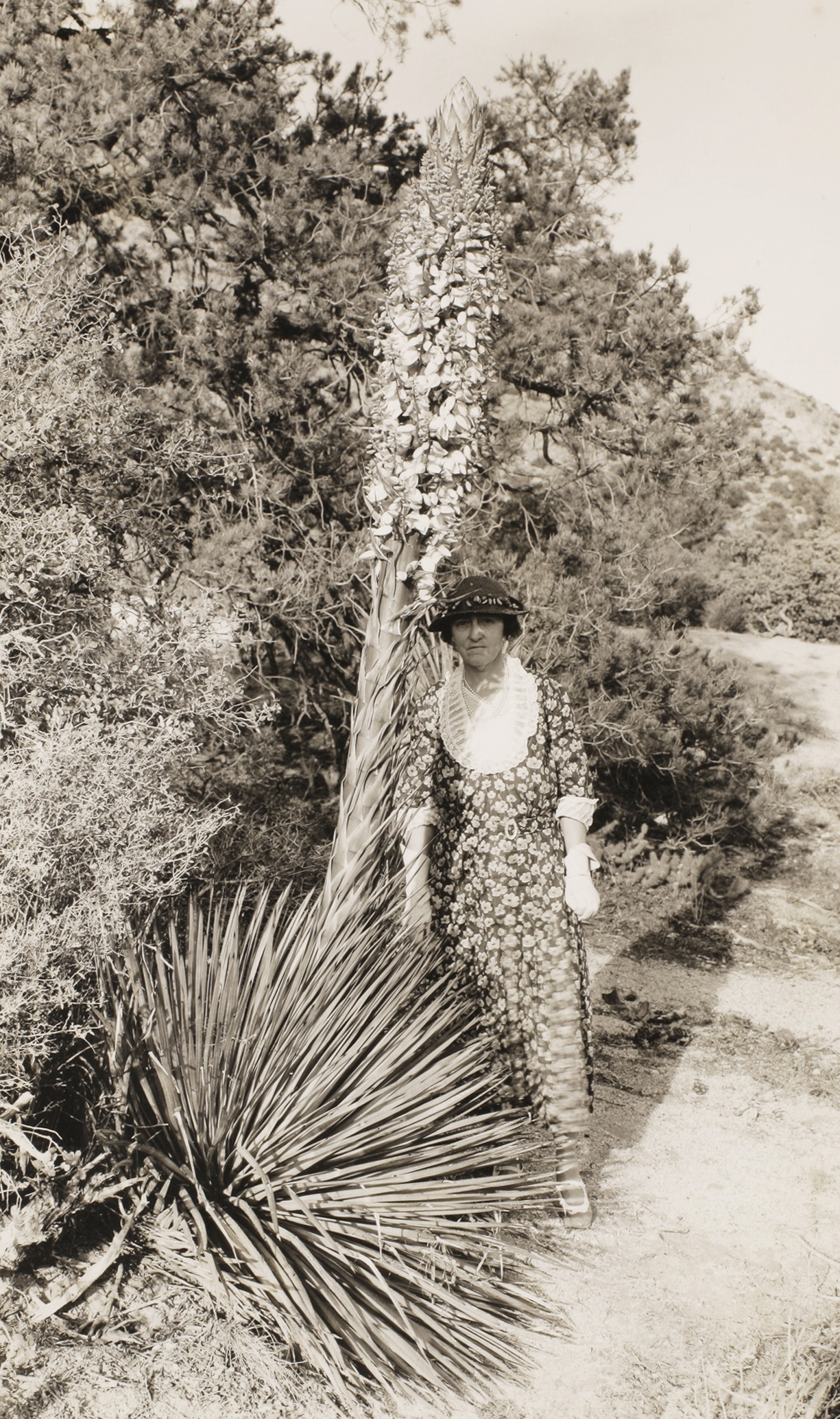 Susan McKelvey in the field standing beside a flowering Agave, ca. 1930.