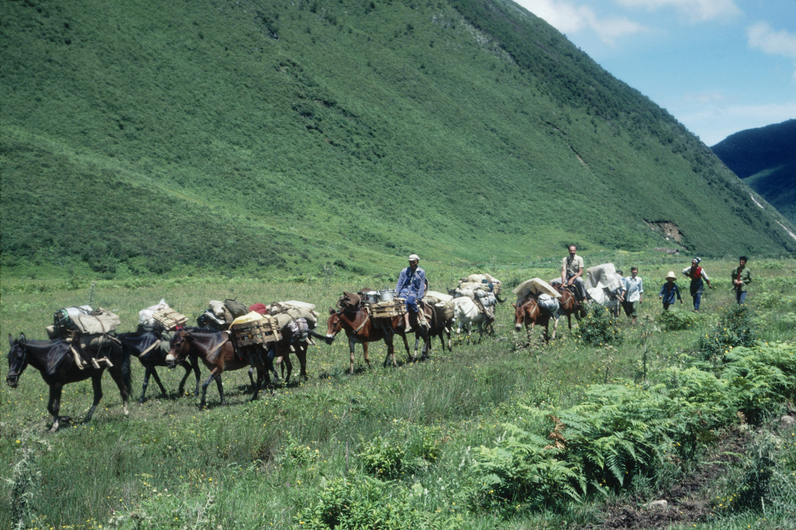 1984 SABE team members and pack train on the way to Huadianba, Yunnan.