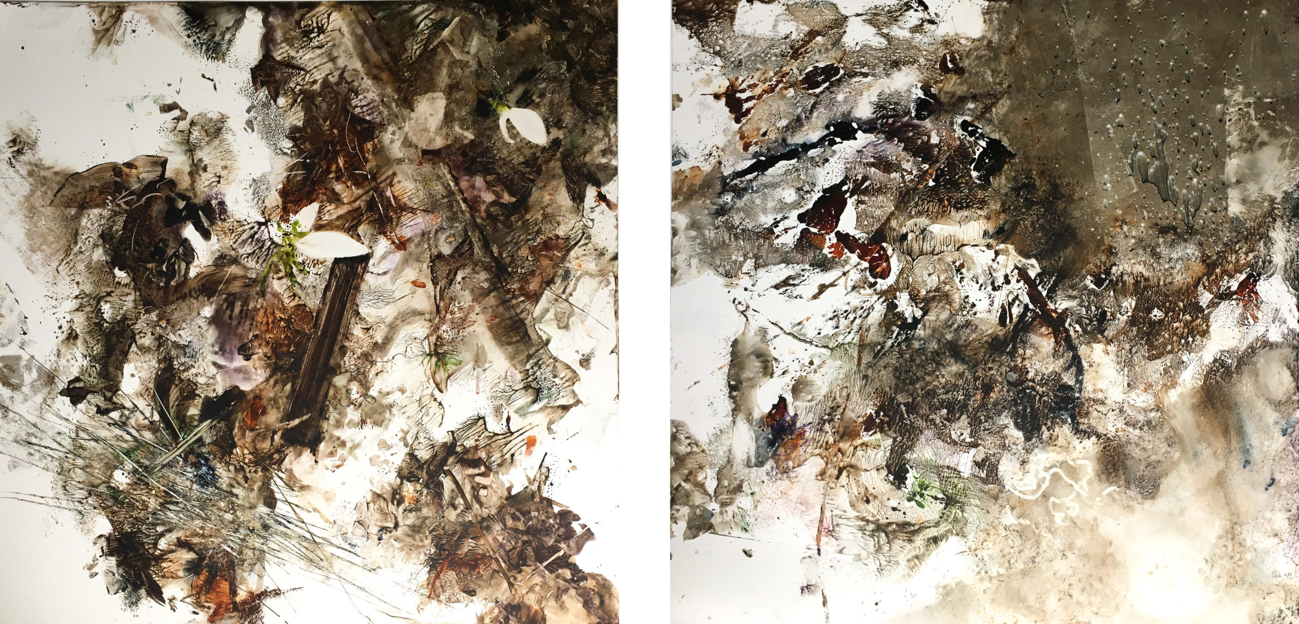 Two watercolors, side by side, with visual elements of organic material