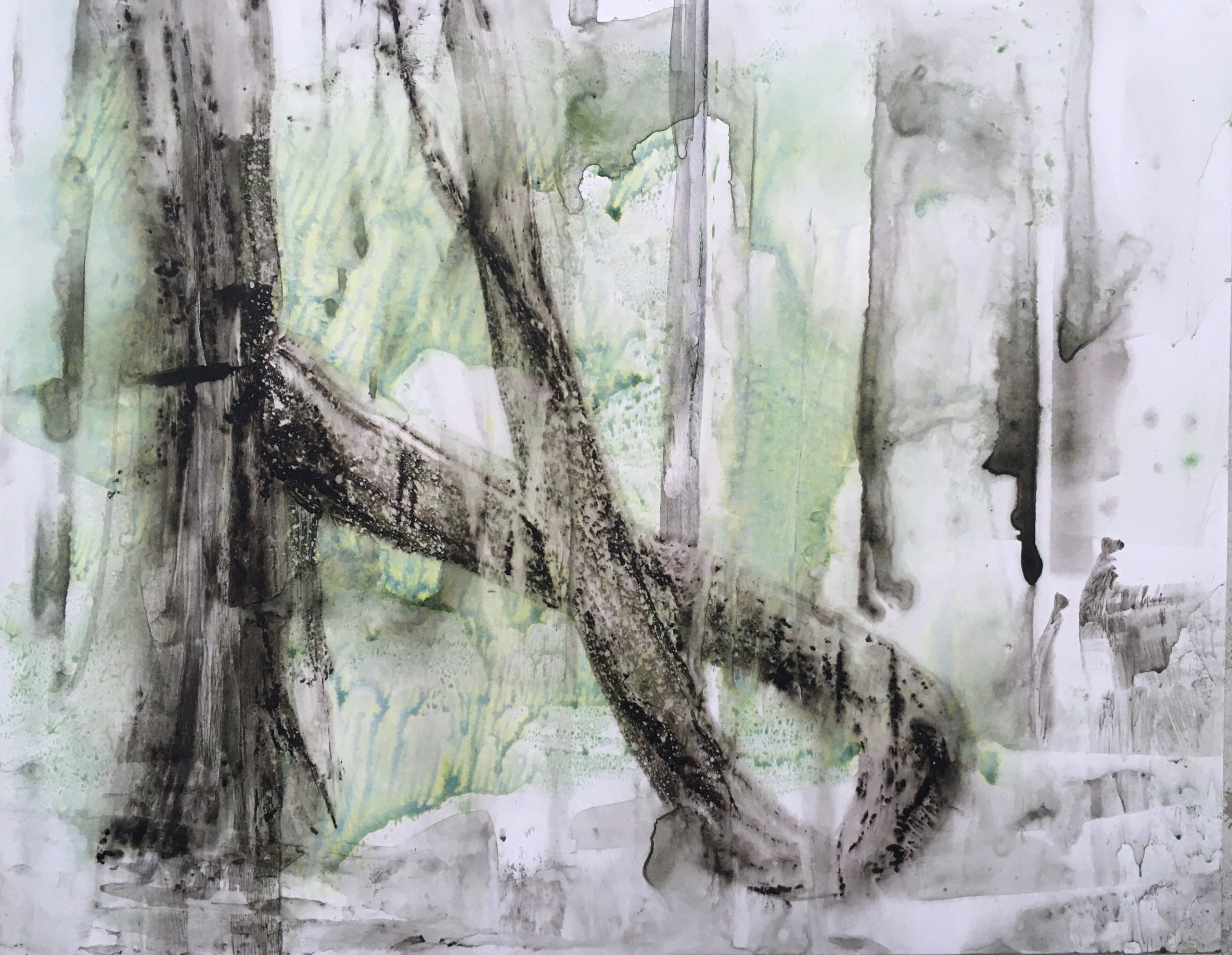 Watercolor of twisted tree trunk and other trunks