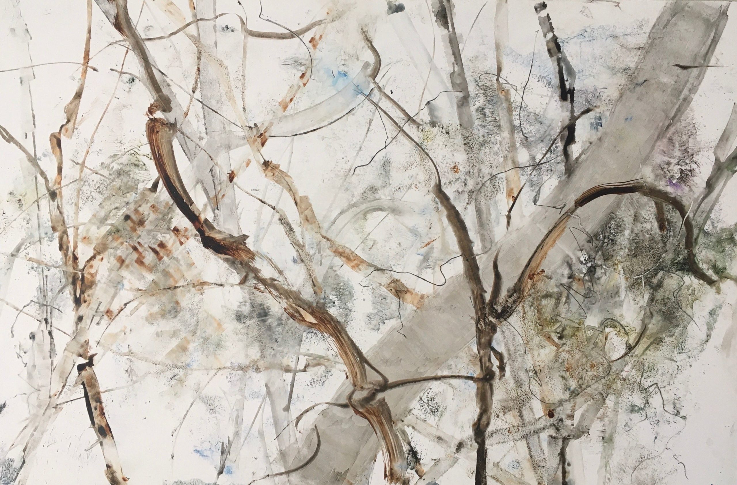 Watercolor of tree branches