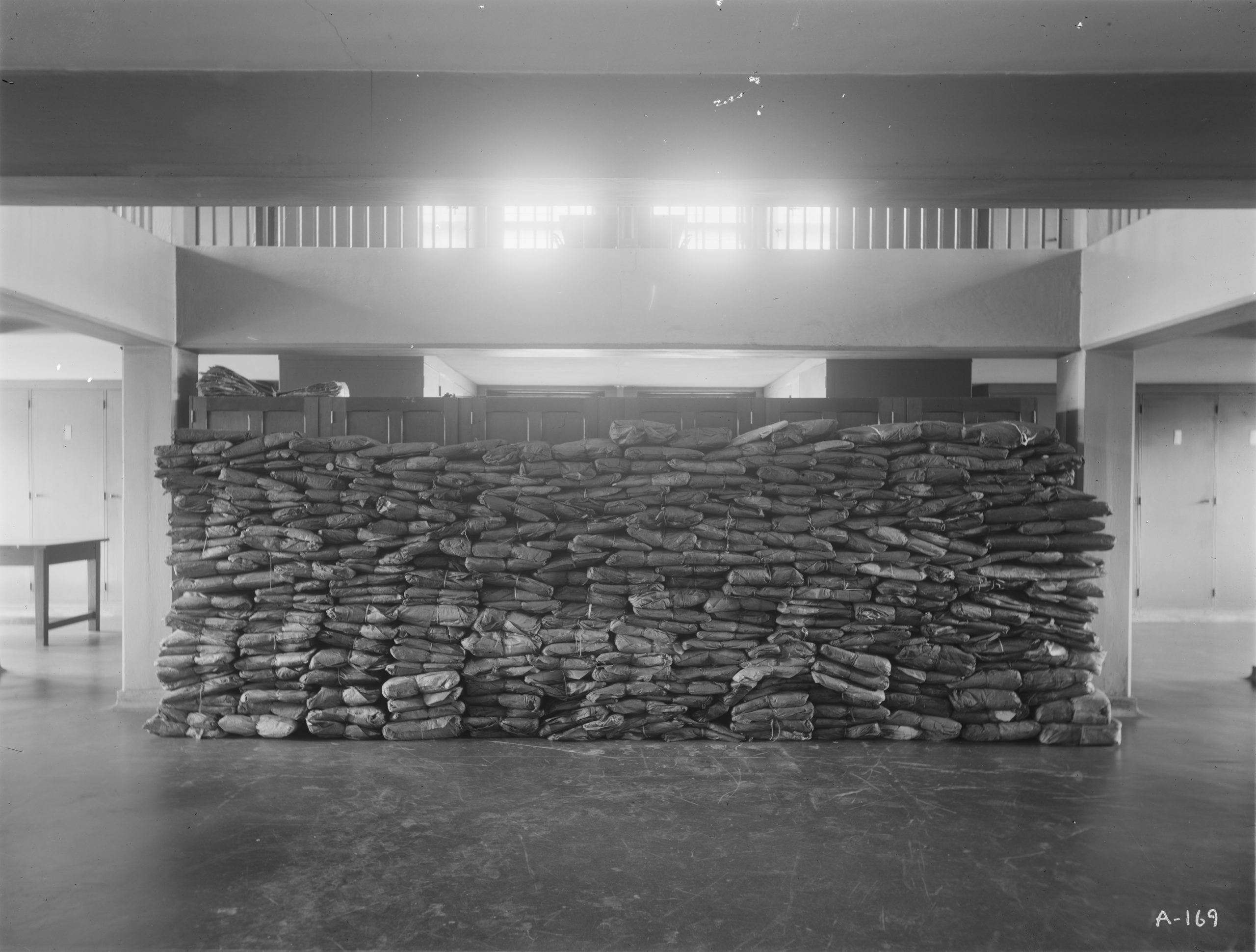 Ernest Wilson's collection of herbarium specimens made in Taiwan and Korea during 1917 and 1918. Photographed by Wilson in the first floor atrium of the Hunnewell Building, April 1919.