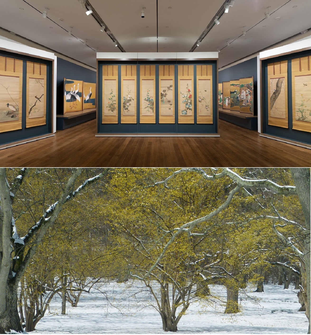 A composite image featuring a photograph of hanging scrolls in a gallery above a photograph of yellow plants flowering in a snowy landscape.