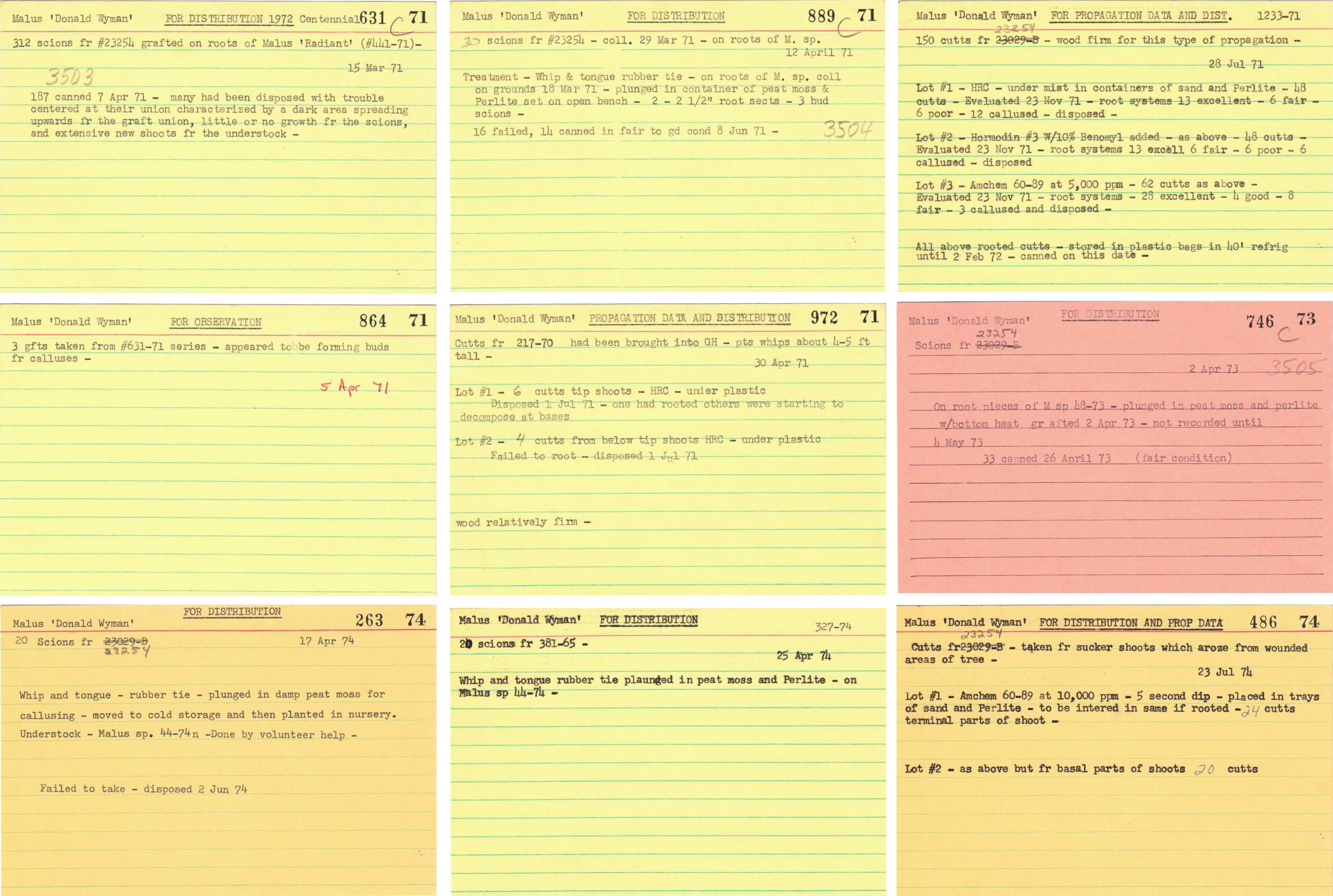 Historic propagation cards depicting germplasm distribution of ‘Donald Wyman’. Typed and/or handwritten cards were used to record propagation attempts during the latter part of the 20th century.