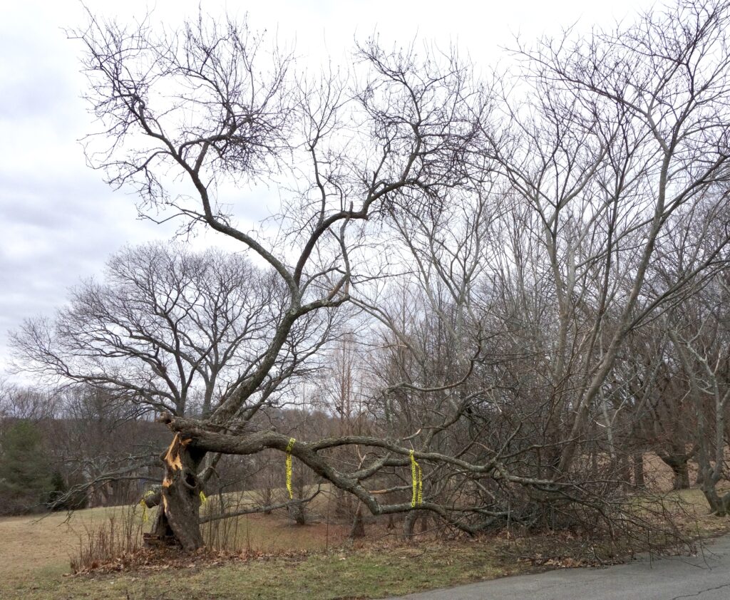 Damage sustained during Winter Storm Riley on March 3, 2018