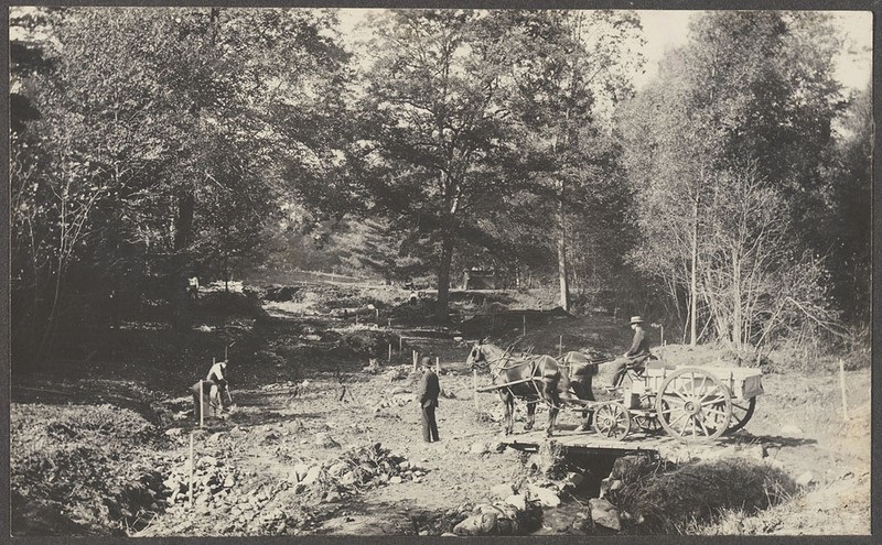 Workmen at the intersection of Valley and Hemlock Hill Roads in a photograph from October 1892. Our white oak may be seen in the center back of the image.
