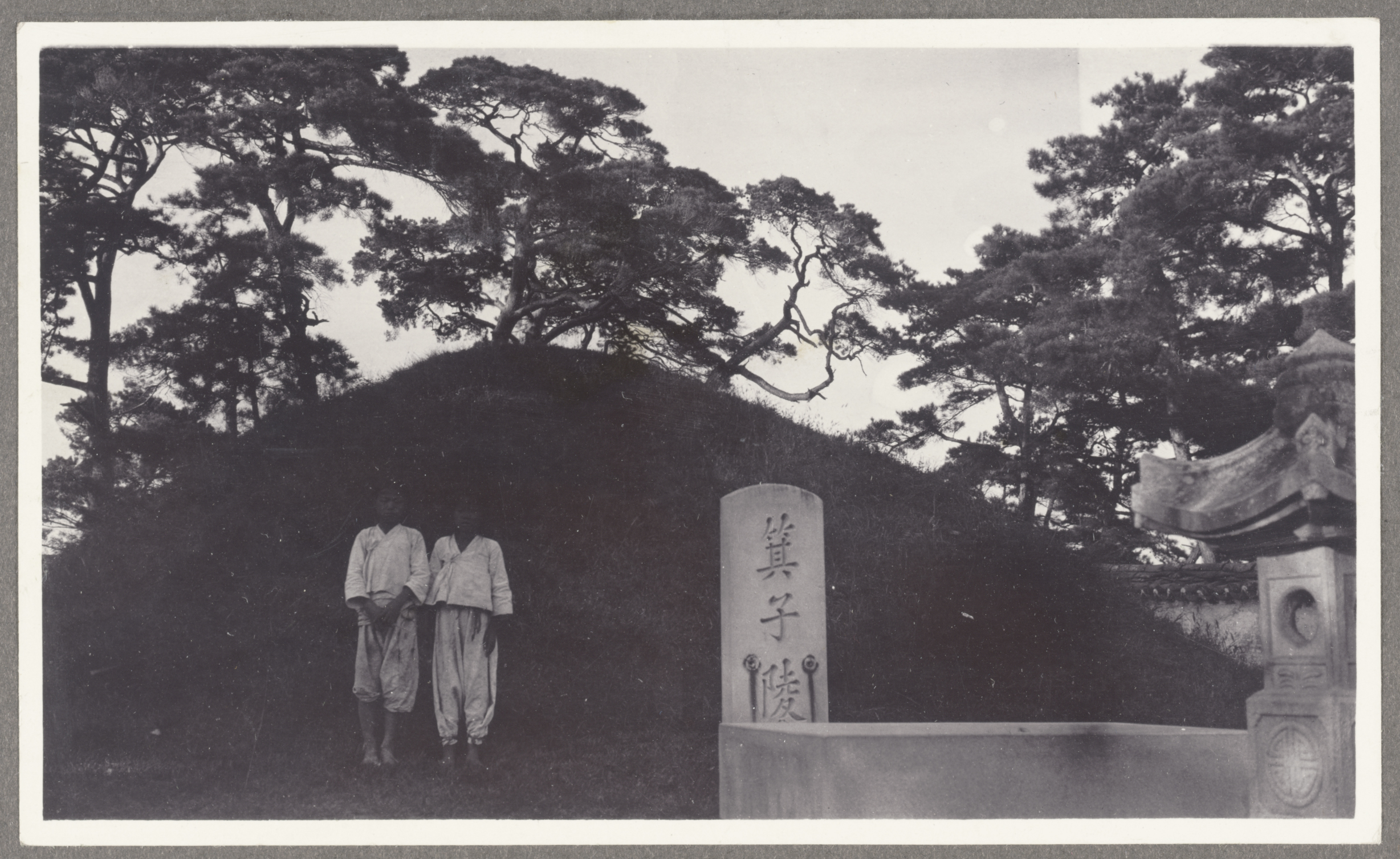 Two men stand before the grave of a Korean emperor topped with Pinus densiflora in the September 1905 photograph by John Jack.