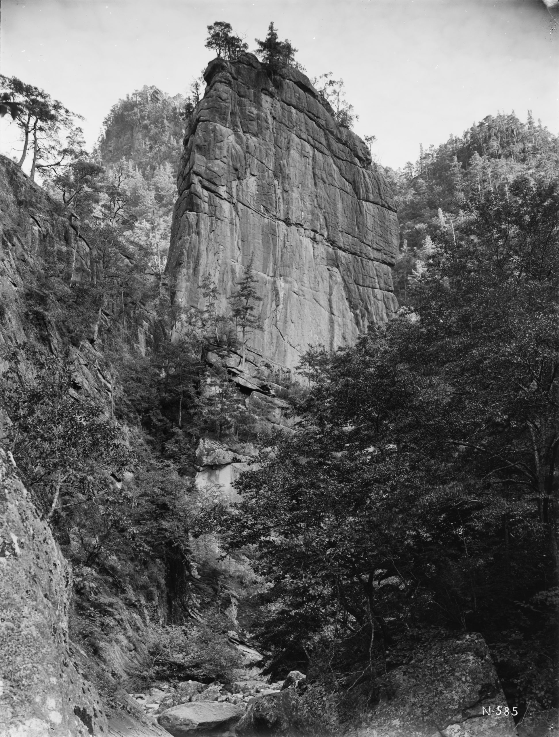 The dramatic Mirror Rock near Choanji in the Kumgang Mountains in a photograph by Ernest Wilson in September 1918. Japanese red pine (Pinus densiflora) are seen on the cliffs, broad-leafed trees in foreground.