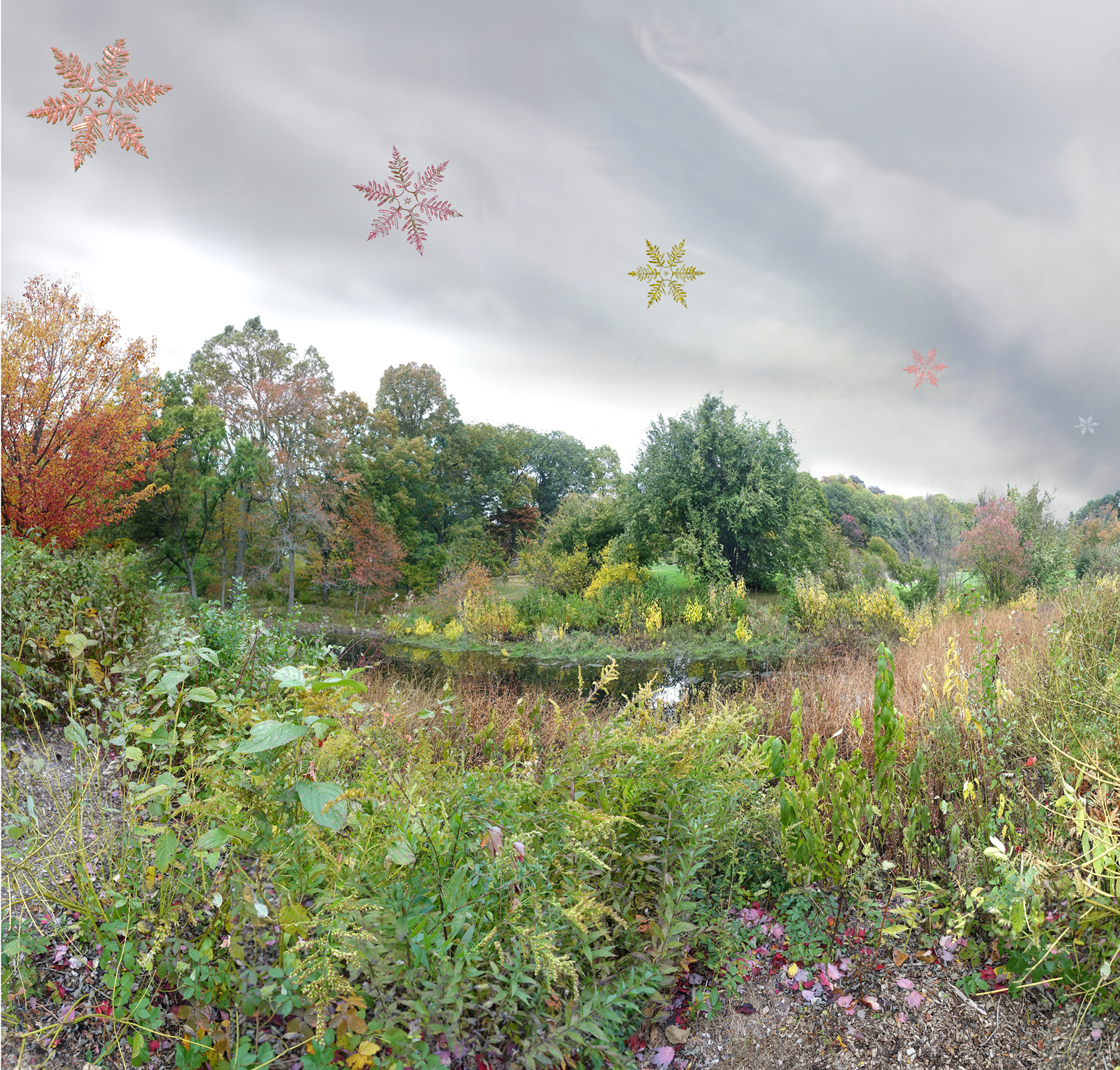 meadow with water and trees, art snowflakes in sky