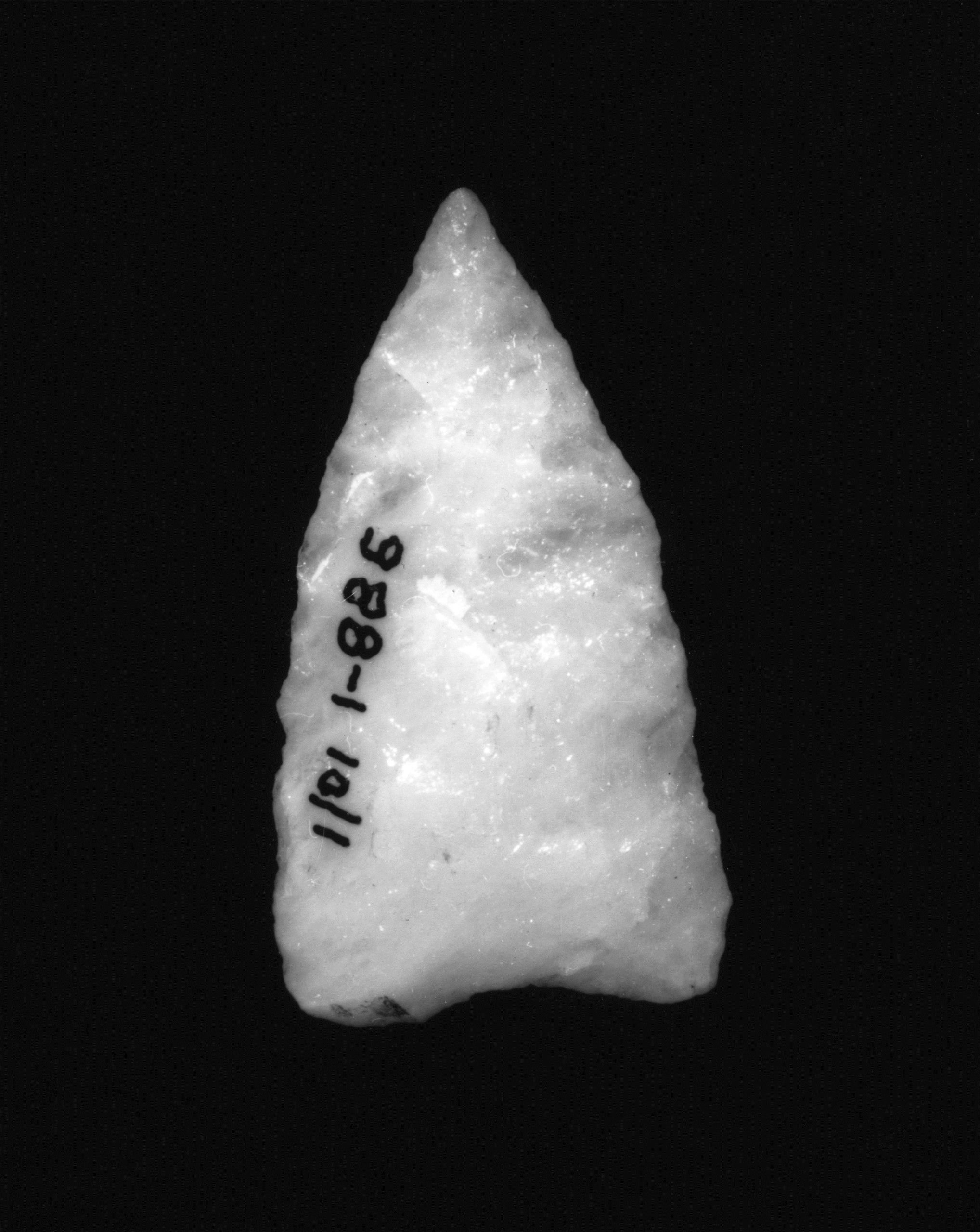 This white quartz projectile point is known as a Squibnocket Triangle and dates to the Late Archaic period. When making tools, Indigenous Peoples looked for stone that would produce a sharp cutting edge. Flint and chert are easily worked but not found here. Quartz and felsite are common in this area and were used extensively. Ernest J. Palmer found this point on the grounds in the 1920s.