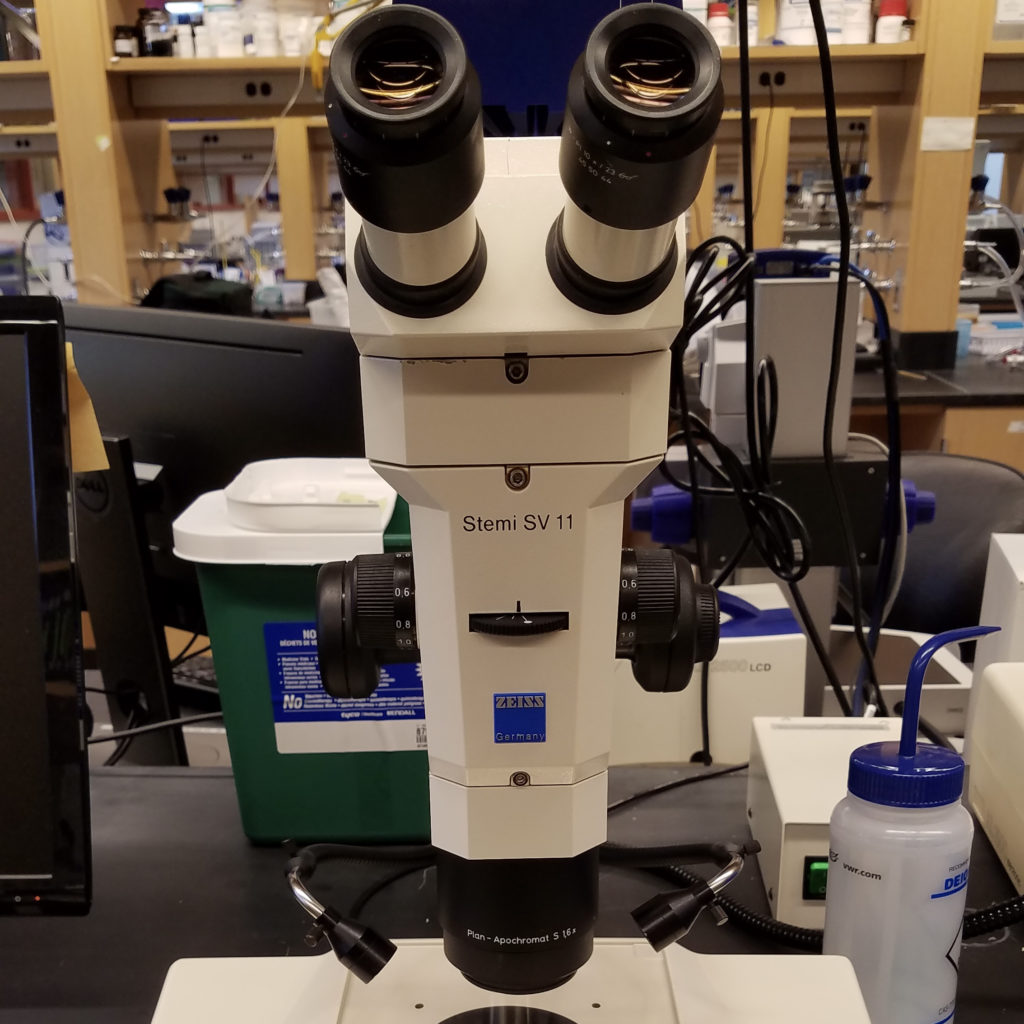 Zeiss Stemi 11 Dissecting Microscope