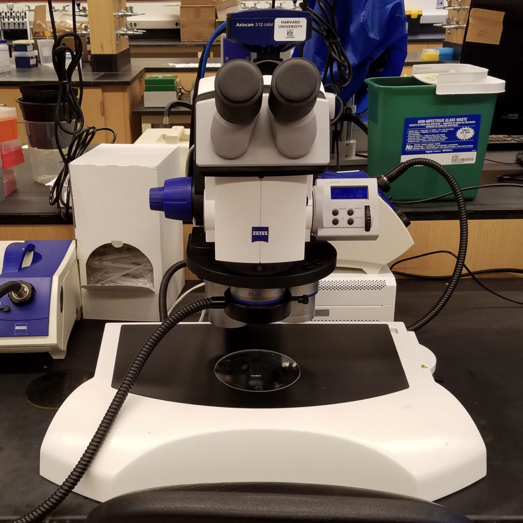 Zeiss PlanApo S Dissecting
