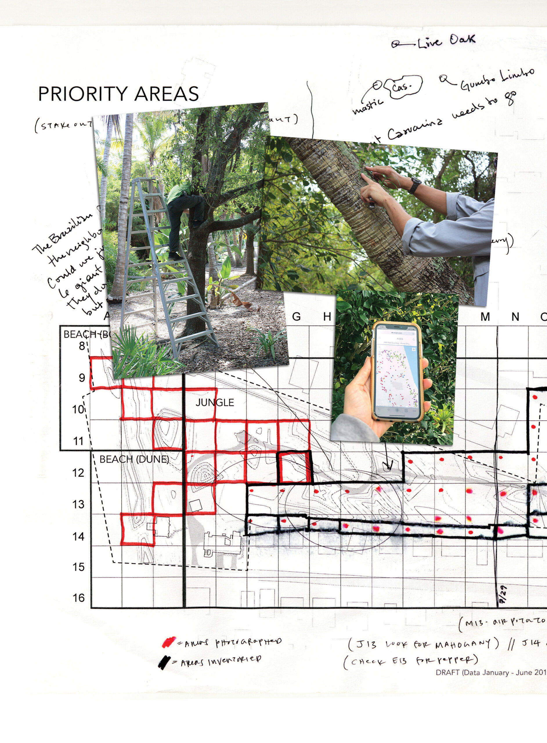 Montage showing hand-marked map of the Rauschenberg campus, two photographs of surveyors in the landscape, and one photo showing the completed survey displayed on a mobile phone