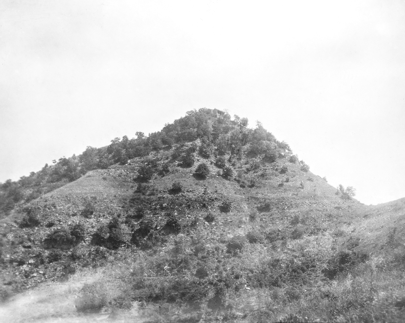 Black-and-white photograph of hillside dotted with trees