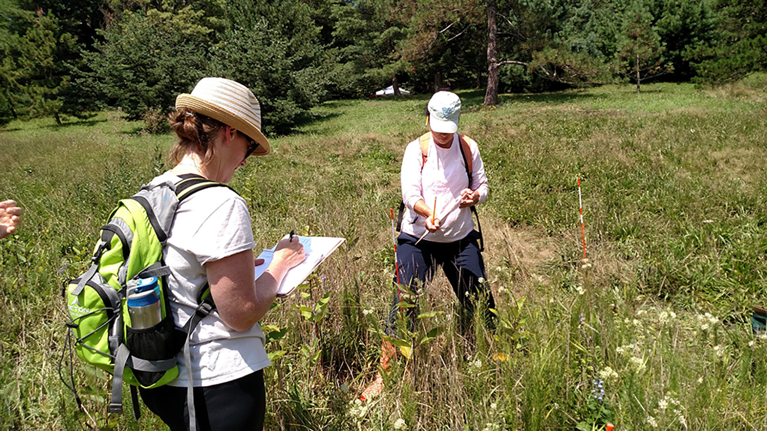 Teachers make field notes while observing a meadow.