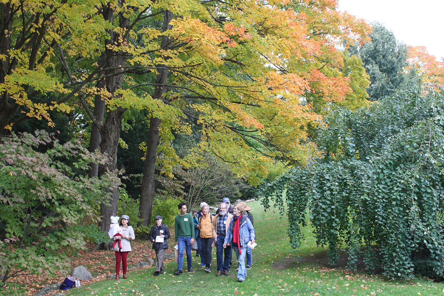 Members Tour Day in the Leventritt Garden
