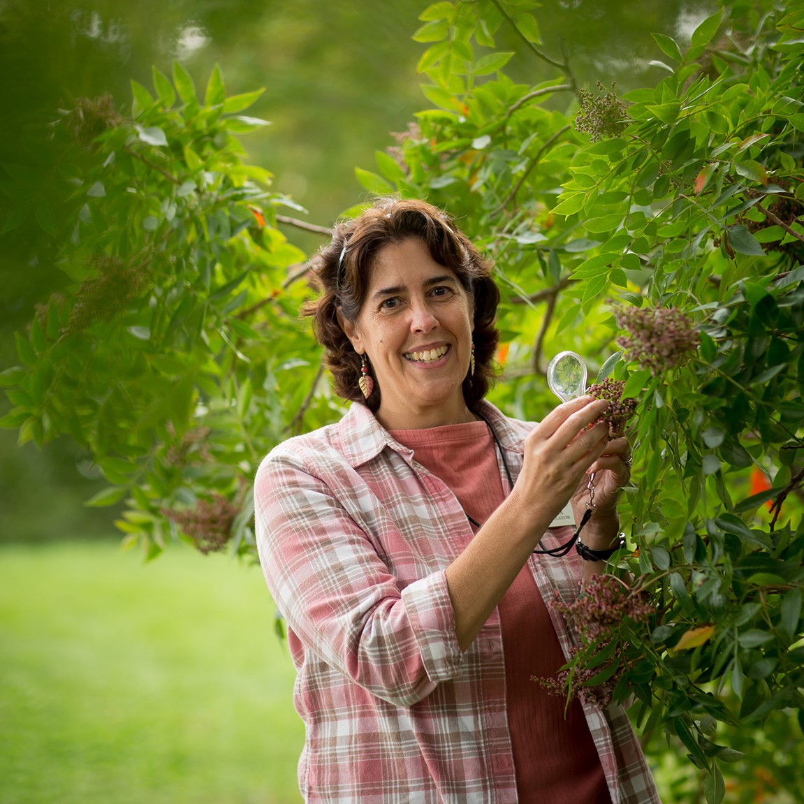 Woman examining shrub