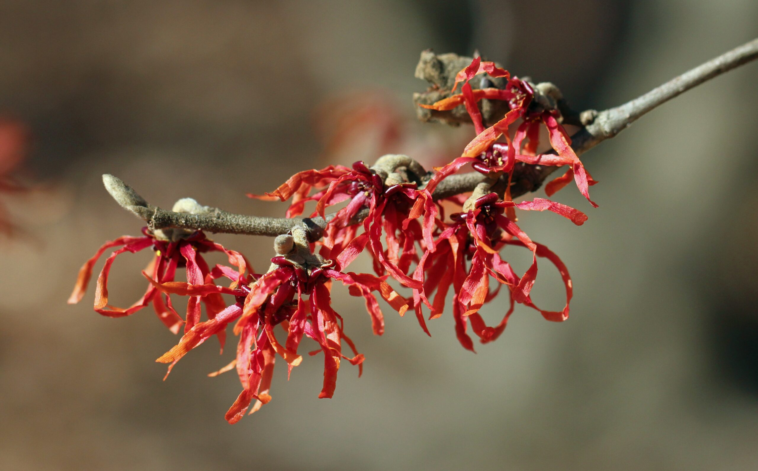Life Changing Lessons in a Tree