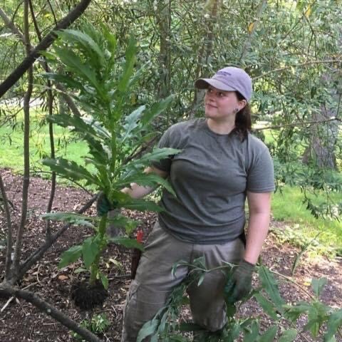 Hunnewell Intern Rachel Lawlor standing beside a plant.