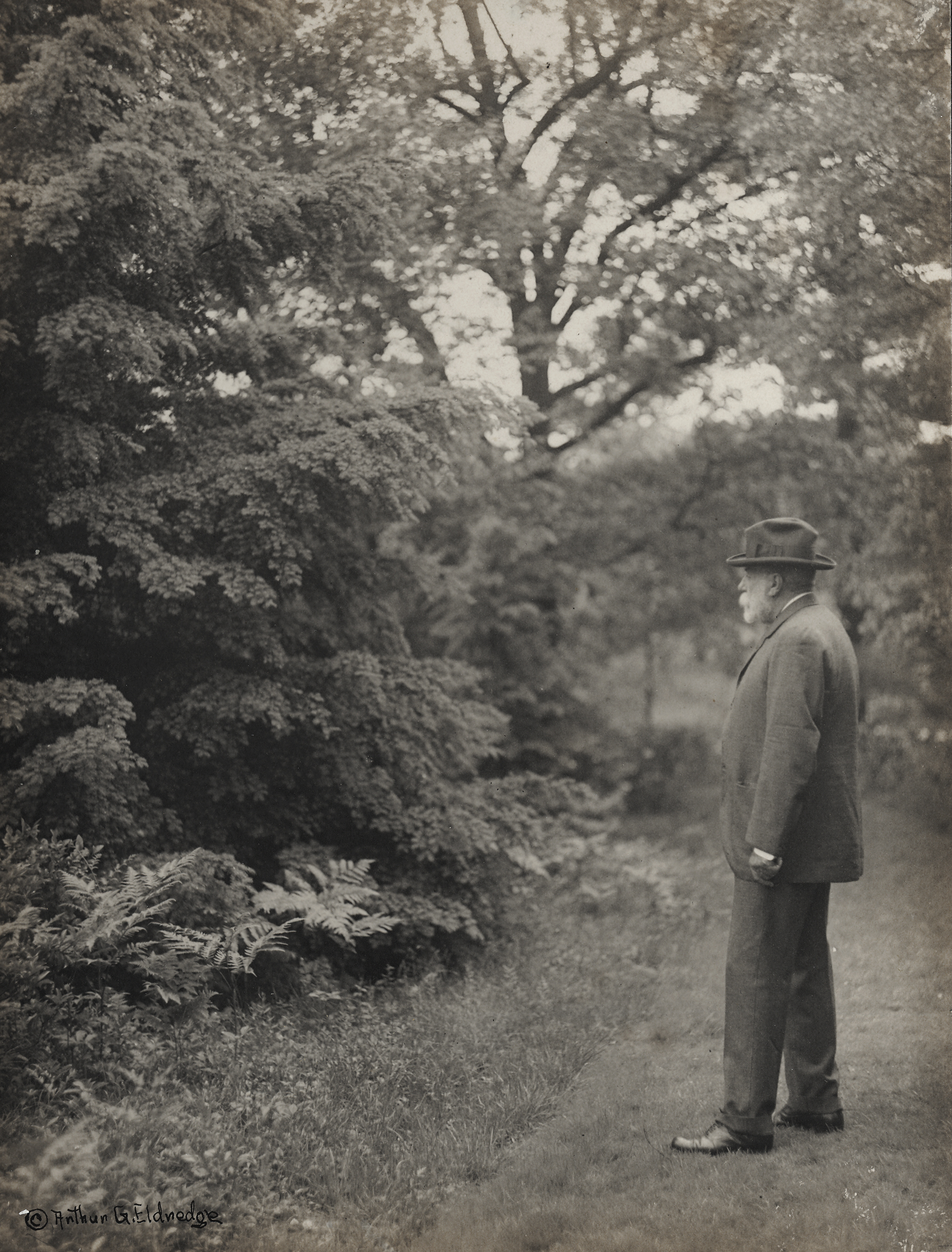 Charles Sprague Sargent standing outdoors at the Arnold Arboretum.