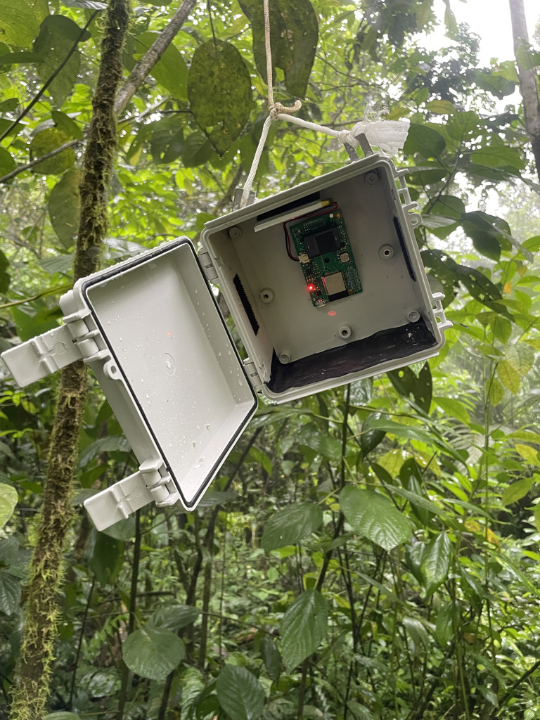 A CO2 sensor hangs in the forest canopy adjacent to a volcanic CO2 vent on the Rincón de la Vieja volcano