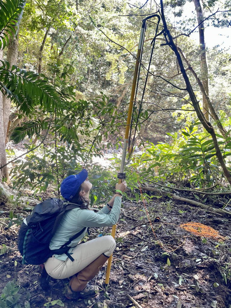 Lindsay McCulloch uses a sling shot and lead weight to get a rope over a tree branch