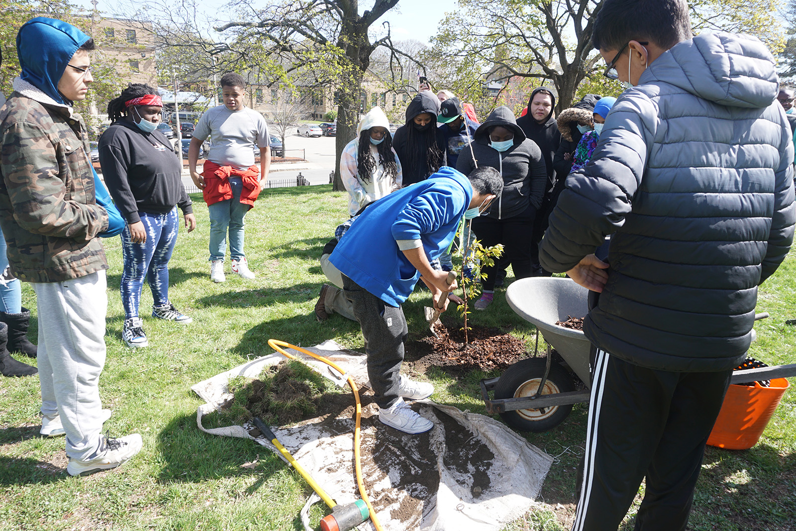 Brighton High School Tree Planting