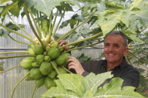 Inaki Hormaza