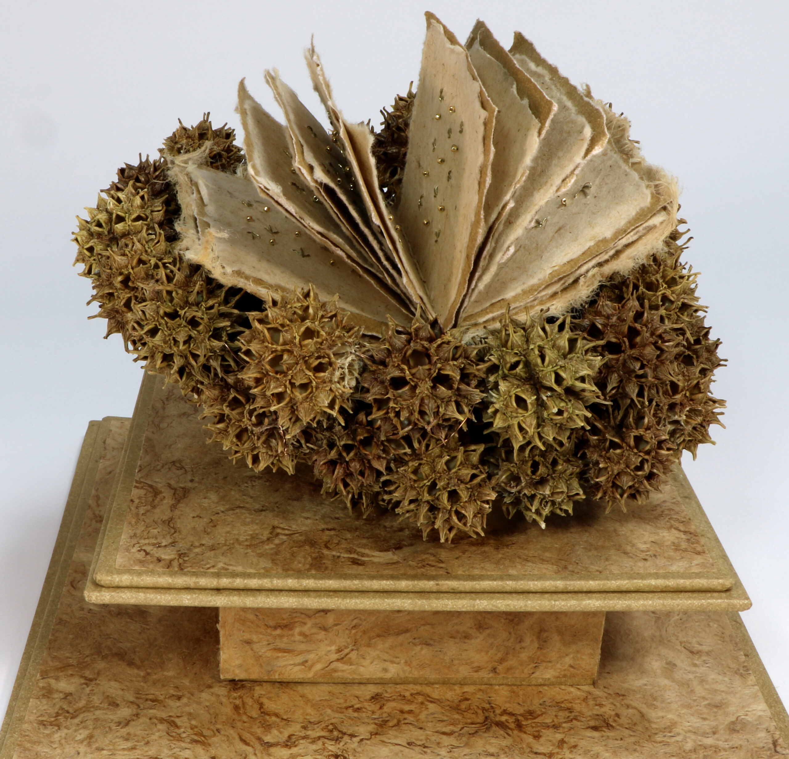 Art Book, handmade paper on base of sweetgum pods