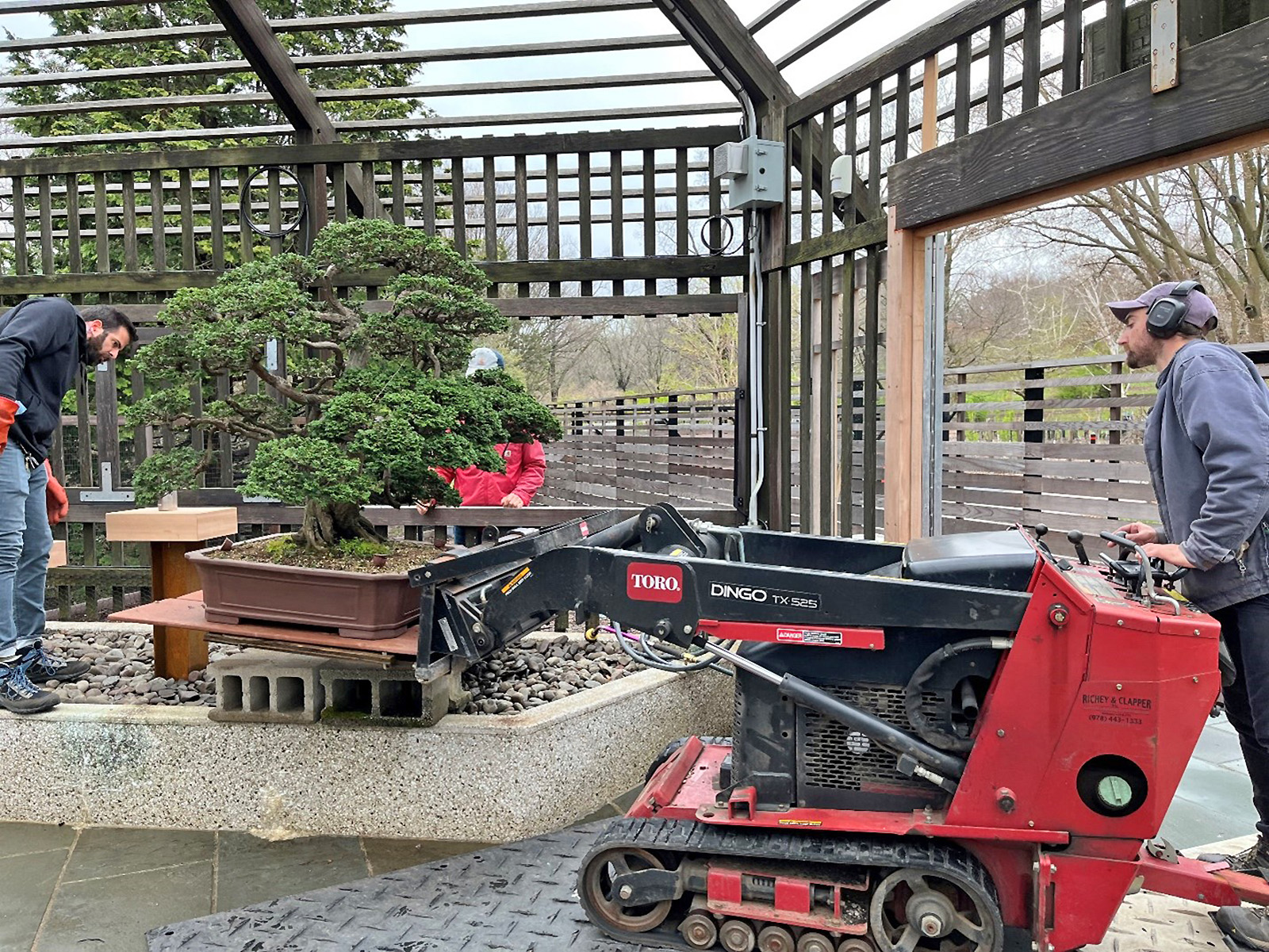 Loading-bonsai-in-pavilion