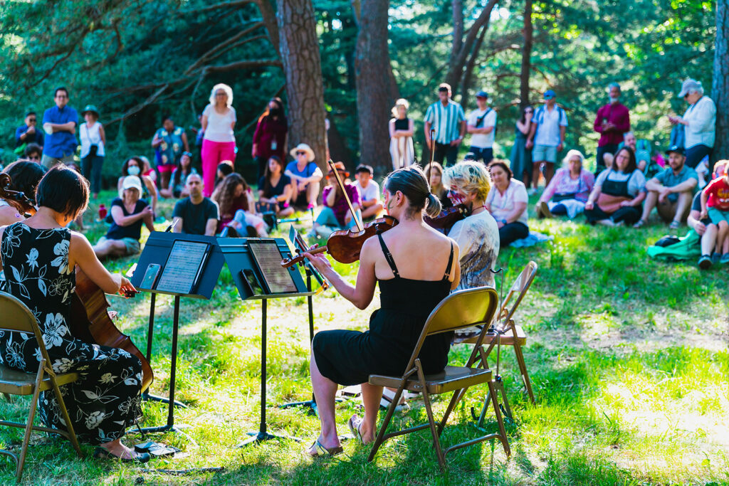 A crowd under a canopy of trees listens to musicians playing at the arnold arboretum