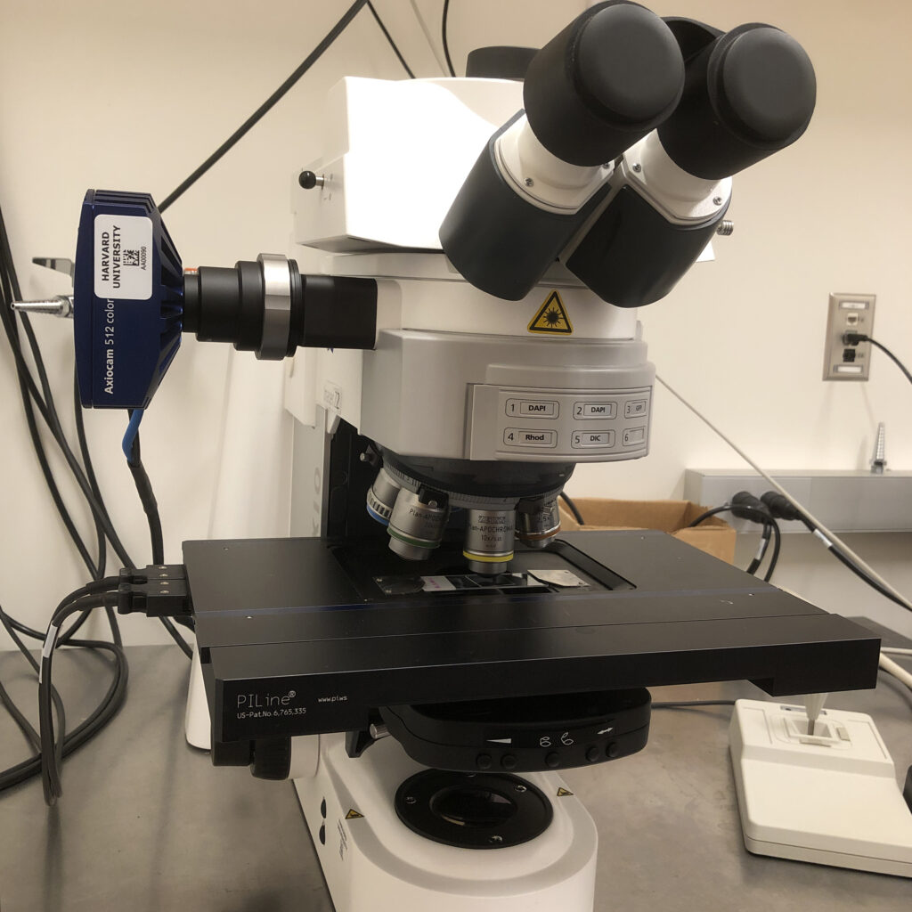 Axioimager Auto