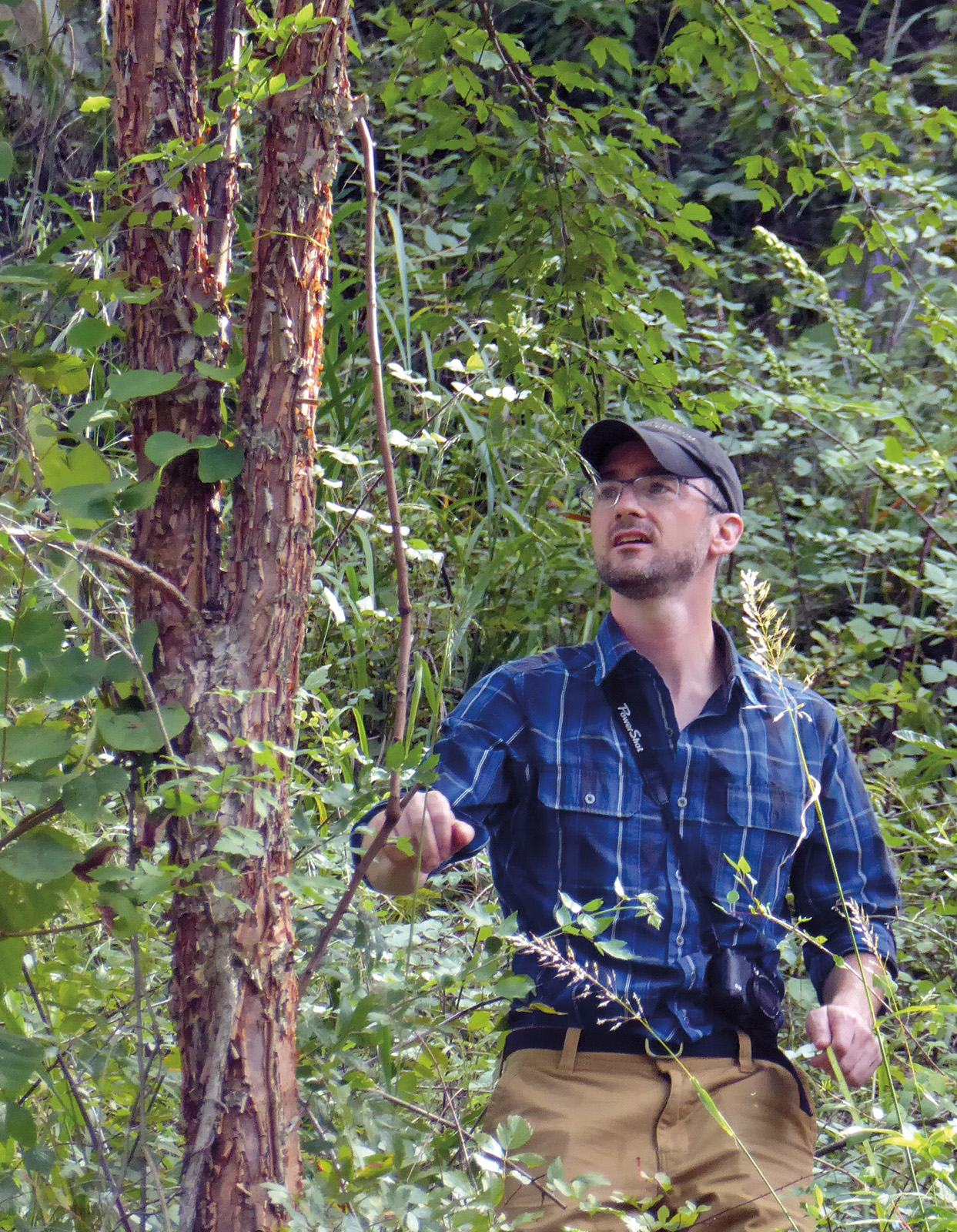 Michael Dosmann in China with paperbark maple