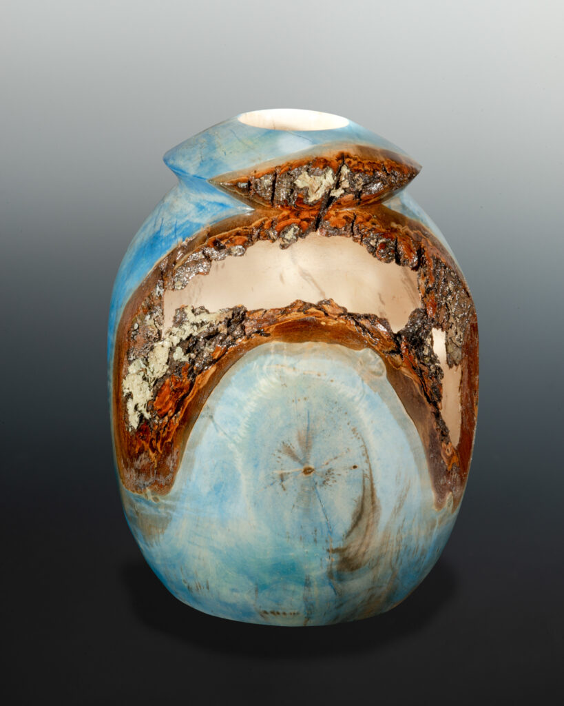 The Art of the Woodturner VI Arnold Arboretum Arnold Arboretum