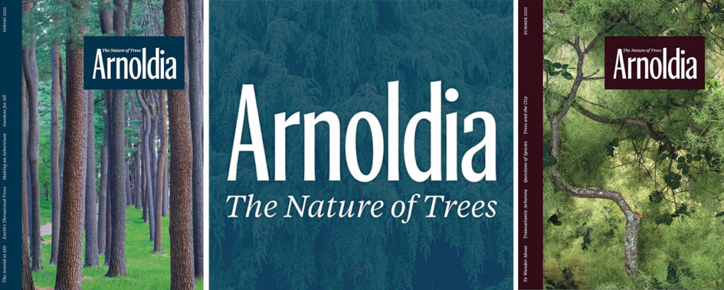 Arnoldia 79-1 and 79-2 covers and logo