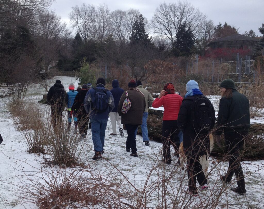 People walking in the snow by shrubs