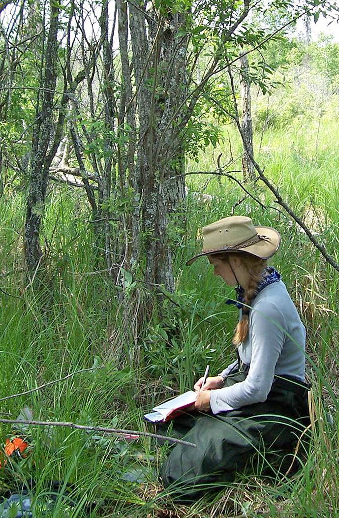 Research Awards at the Arnold Arboretum